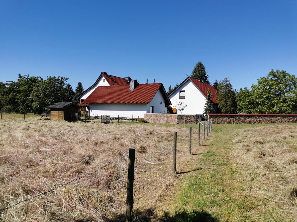 Ferienhaus Rosenhof Glaubitz Exterior foto