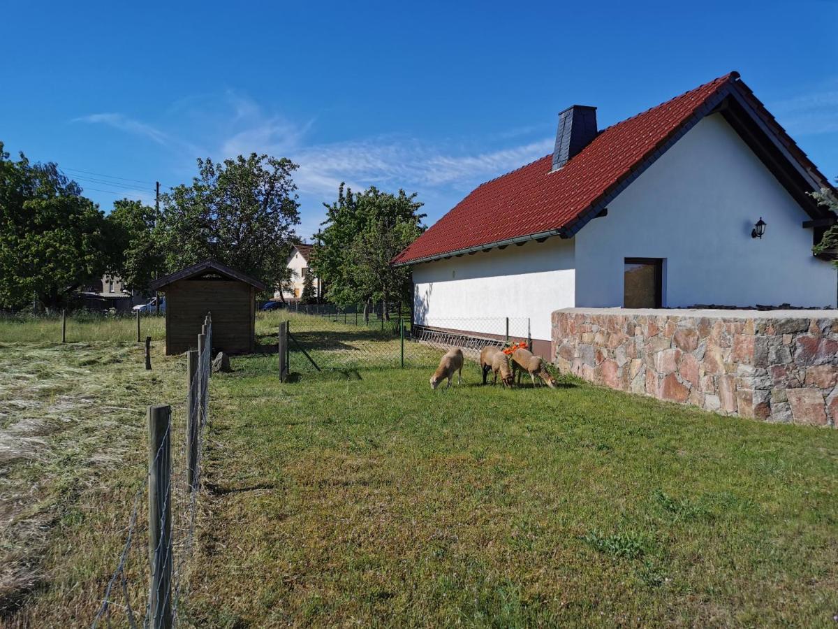 Ferienhaus Rosenhof Glaubitz Exterior foto
